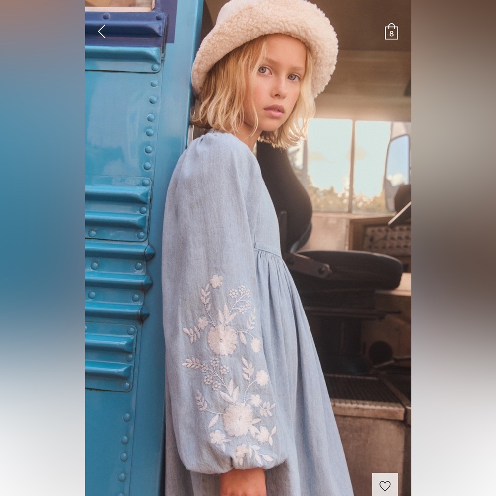 NWT Mango Light Blue Flower Embroided Denim Dress